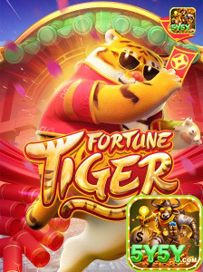 5y5y.com experimente inovador jogo